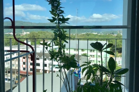 Апартаменты в районе Phuket town