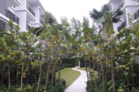 Apartments for sale in Rawai beach