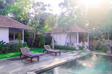 Tropical 2 bedroom villa in Canggu (Pererenan)