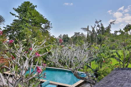 Stylish 4 bedroom villa 800 meters to the beach in Canggu