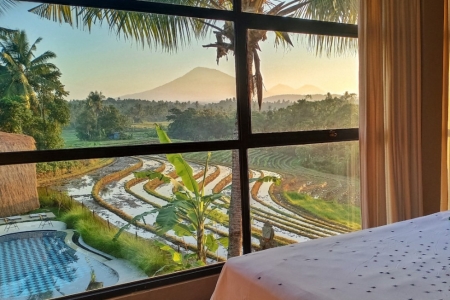 Beautiful 3 bedroom villa in Tabanan