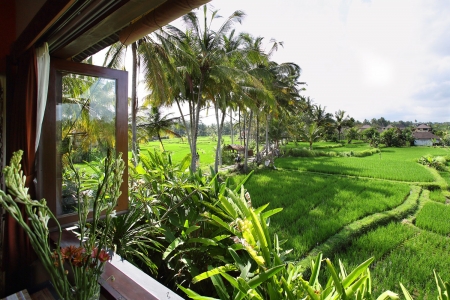 Beautiful 3 bedroom villa with amazing views, Ubud