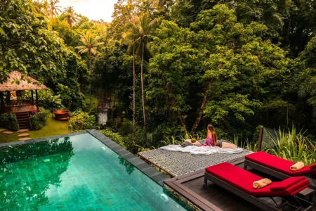 Fabulous 2 bedroom villa with jungle views and hanging grid, Ubud