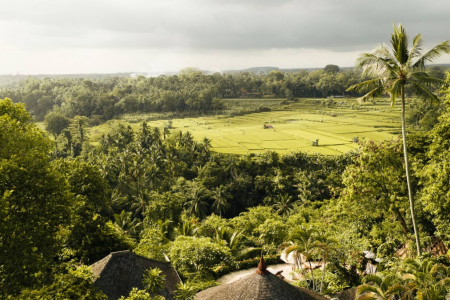 Unique 5-bedroom villa overlooking rice fields, Ubud