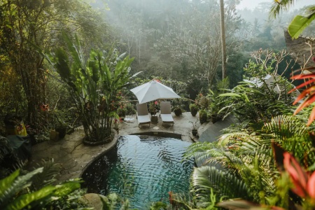 Бамбуковый дом на 3 спальни в джунглях, Убуд