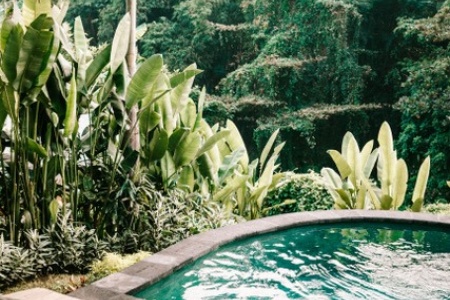 Compact 1 bedroom villa with pool and jungle views, Canggu