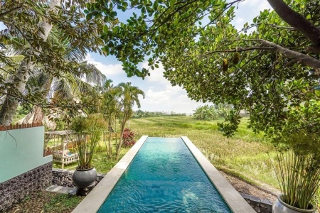 Exotic 3 bedroom villa overlooking rice fields, Canggu (Sesekh)
