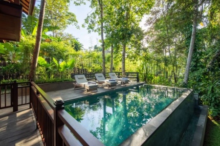 Brand new jungle 3BR villa with infinity pool in Ubud