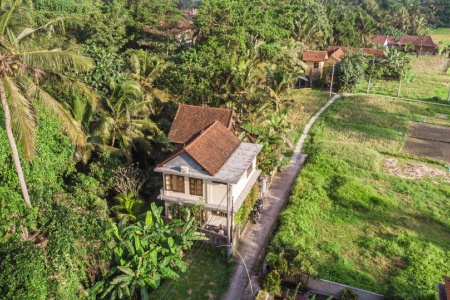 Secluded 2 bedroom house in the jungle of Ubud